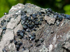 Natural Libethenite Crystals on Dolomite Matrix Specimen x 1 From Shituru, Congo