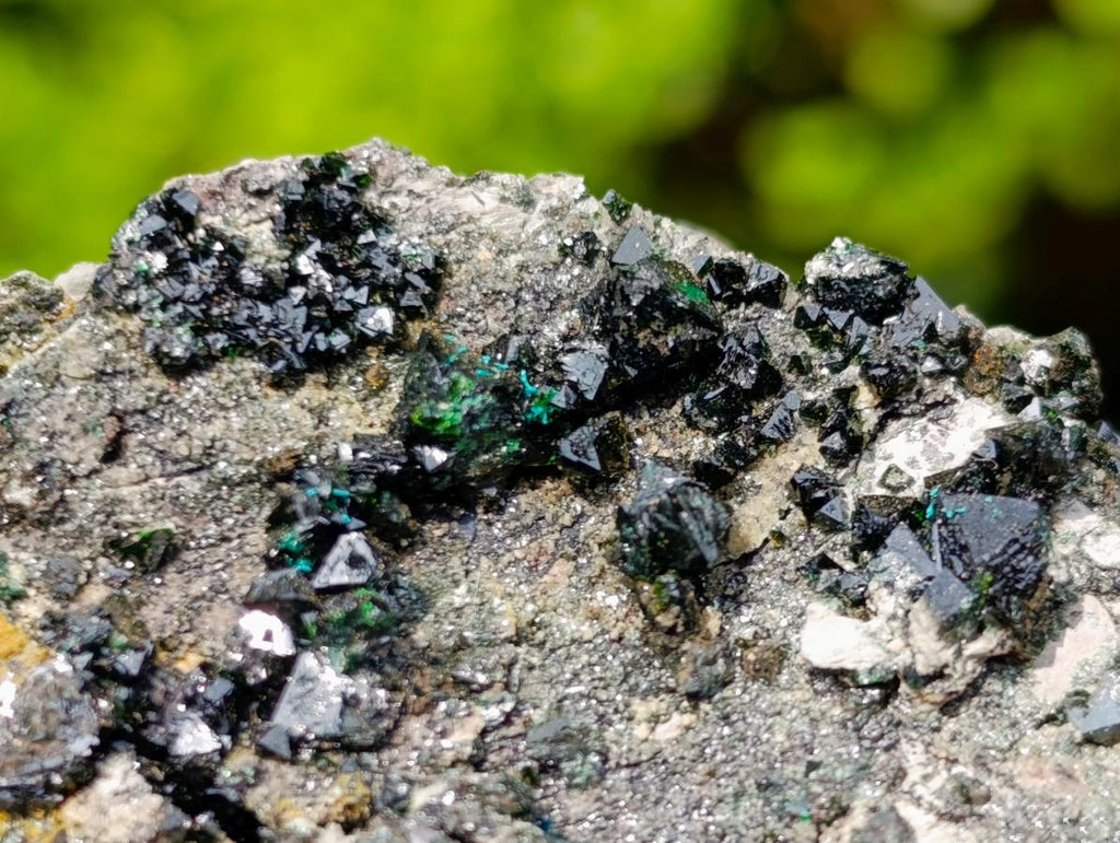 Natural Libethenite Crystals on Dolomite Matrix Specimen x 1 From Shituru, Congo