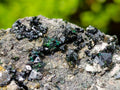 Natural Libethenite Crystals on Dolomite Matrix Specimen x 1 From Shituru, Congo