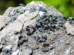 Natural Libethenite Crystals on Dolomite Matrix Specimen x 1 From Shituru, Congo