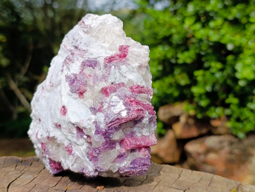 Natural Rubellite Pink Tourmaline in a Quartz and Mica Schist x 1 From Karibib, Namibia