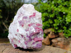 Natural Rubellite Pink Tourmaline in a Quartz and Mica Schist x 1 From Karibib, Namibia
