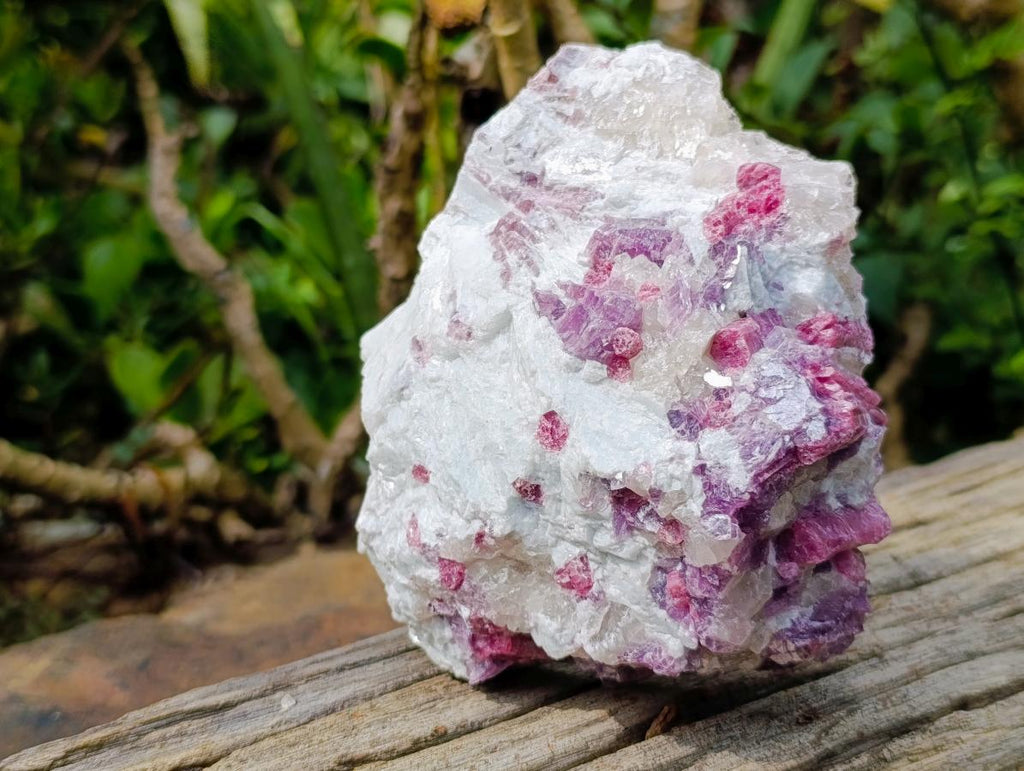 Natural Rubellite Pink Tourmaline in a Quartz and Mica Schist x 1 From Karibib, Namibia