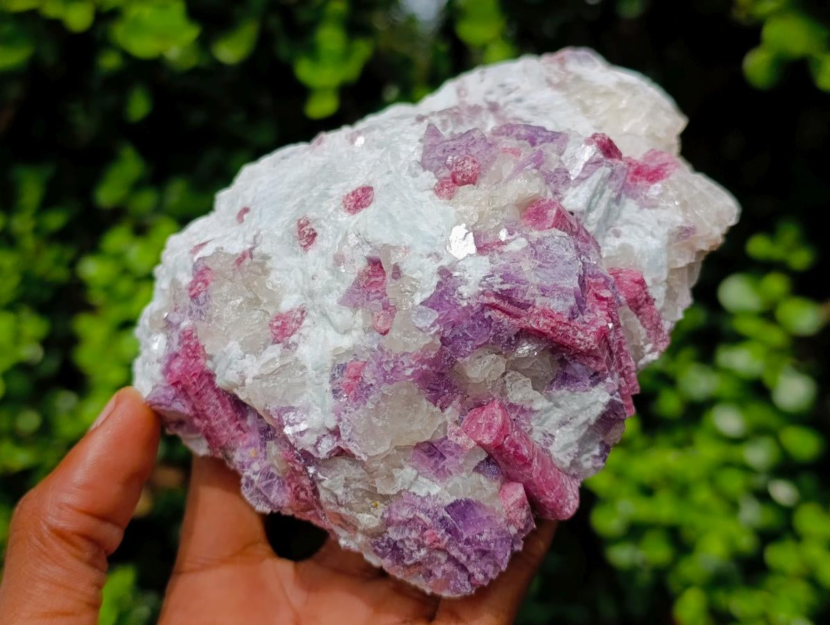 Natural Rubellite Pink Tourmaline in a Quartz and Mica Schist x 1 From Karibib, Namibia