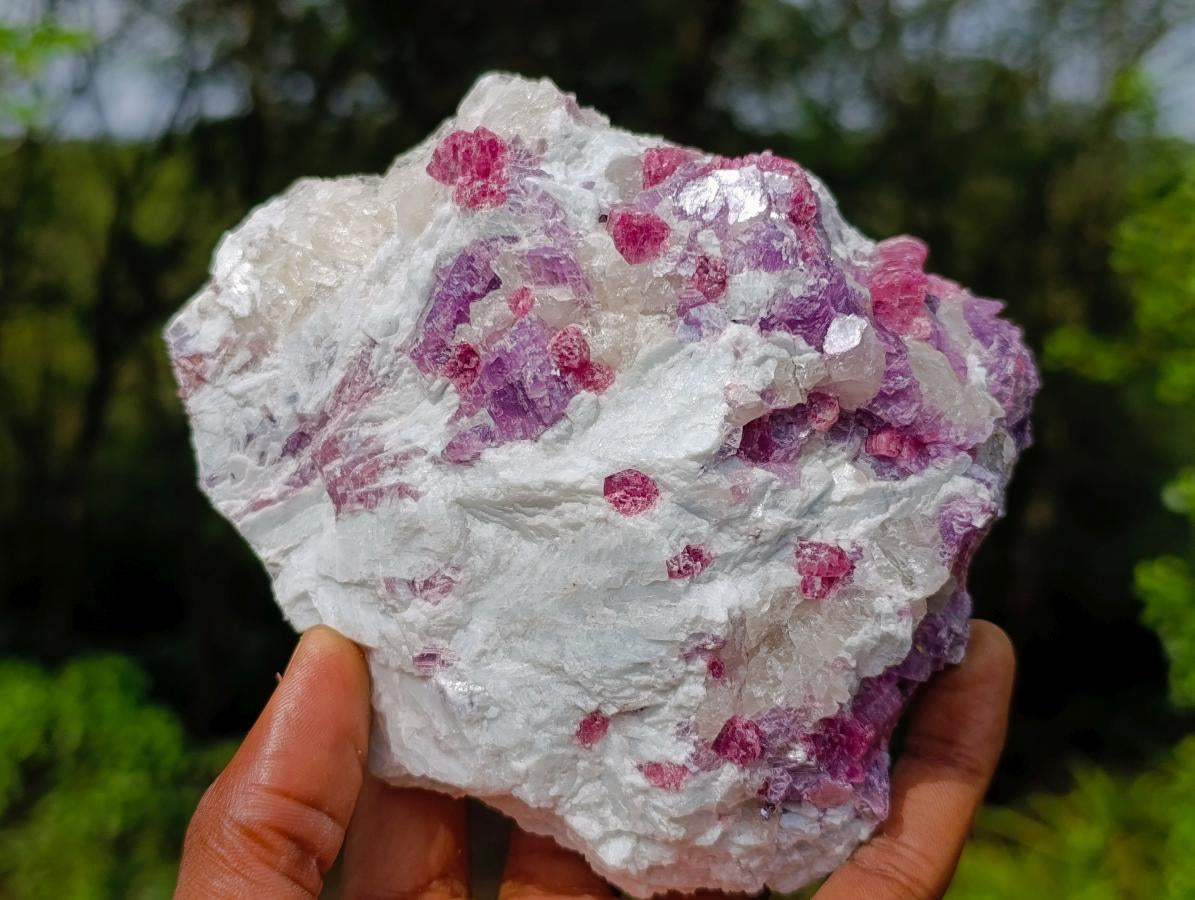Natural Rubellite Pink Tourmaline in a Quartz and Mica Schist x 1 From Karibib, Namibia