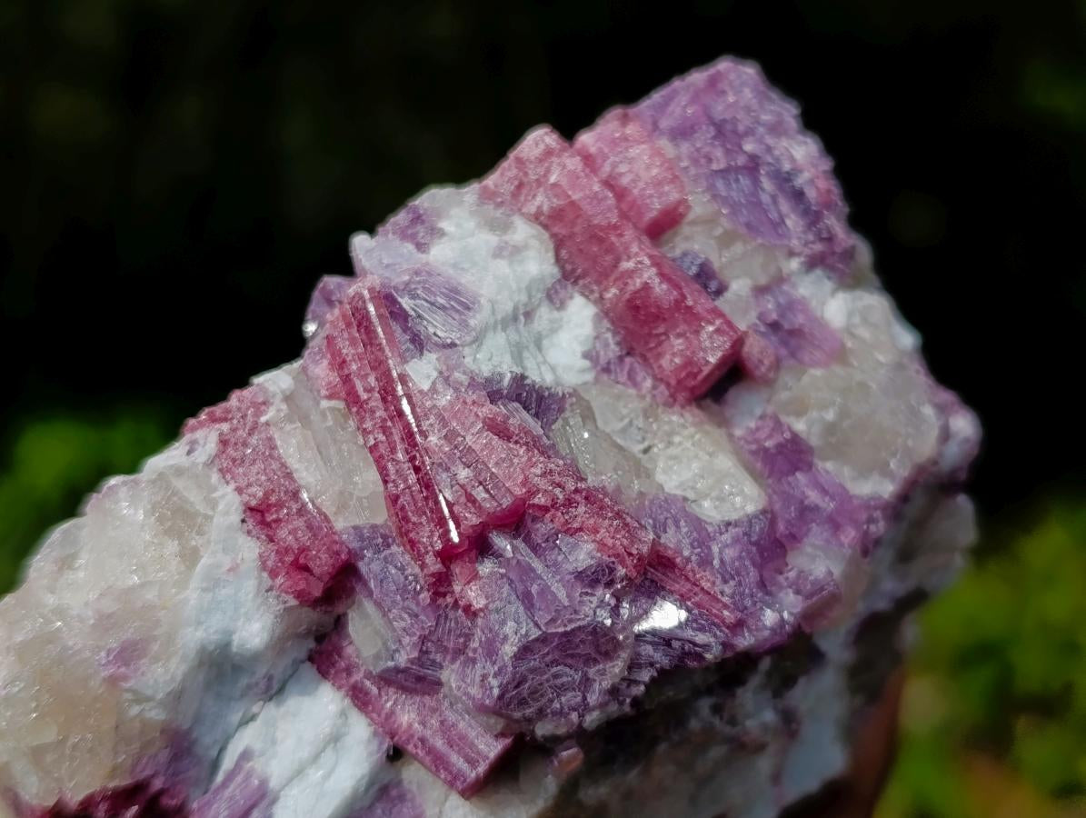 Natural Rubellite Pink Tourmaline in a Quartz and Mica Schist x 1 From Karibib, Namibia