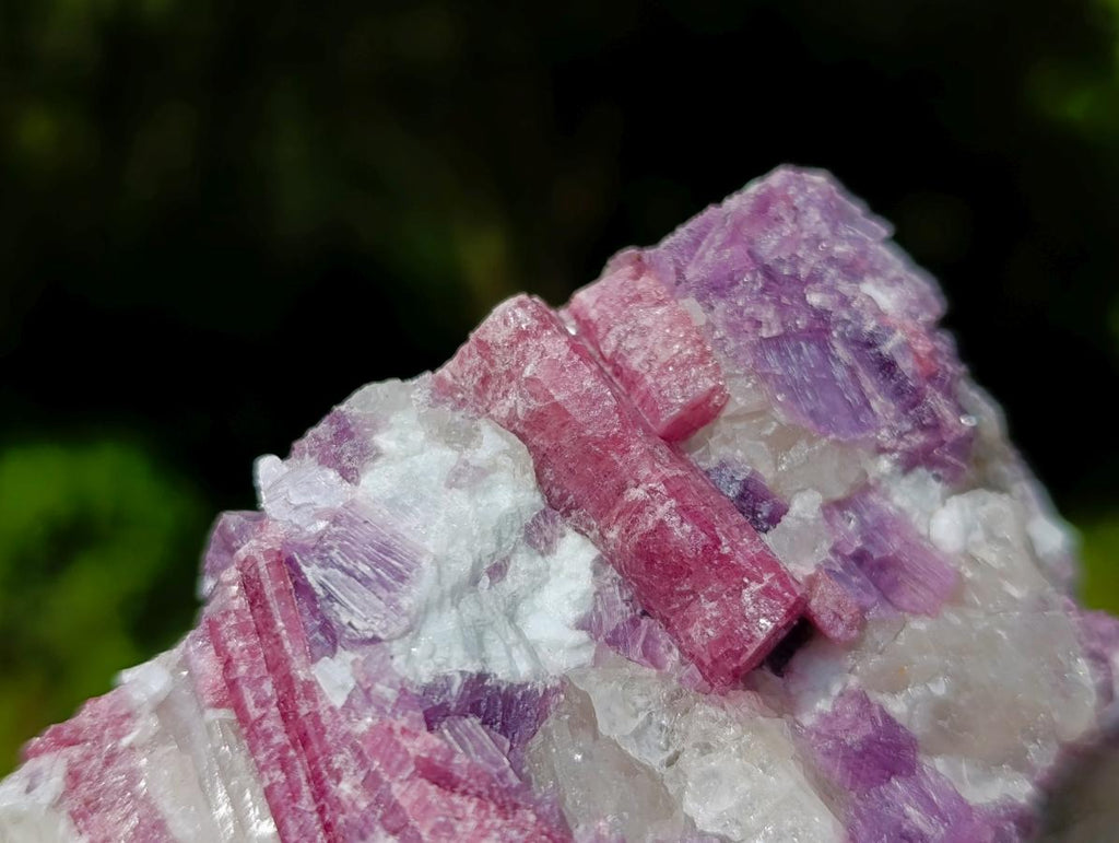 Natural Rubellite Pink Tourmaline in a Quartz and Mica Schist x 1 From Karibib, Namibia