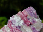 Natural Rubellite Pink Tourmaline in a Quartz and Mica Schist x 1 From Karibib, Namibia