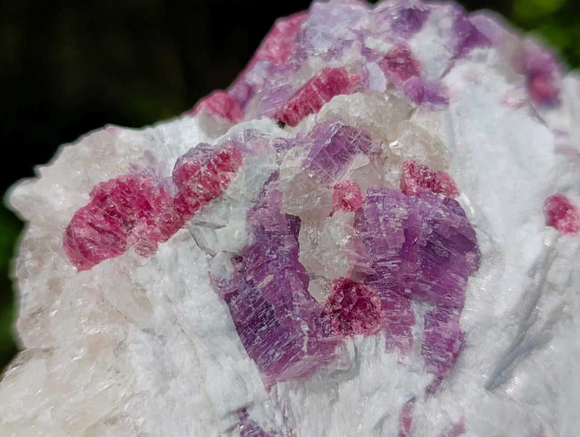 Natural Rubellite Pink Tourmaline in a Quartz and Mica Schist x 1 From Karibib, Namibia