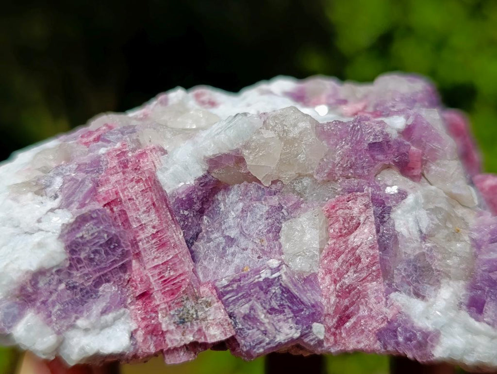 Natural Rubellite Pink Tourmaline in a Quartz and Mica Schist x 1 From Karibib, Namibia