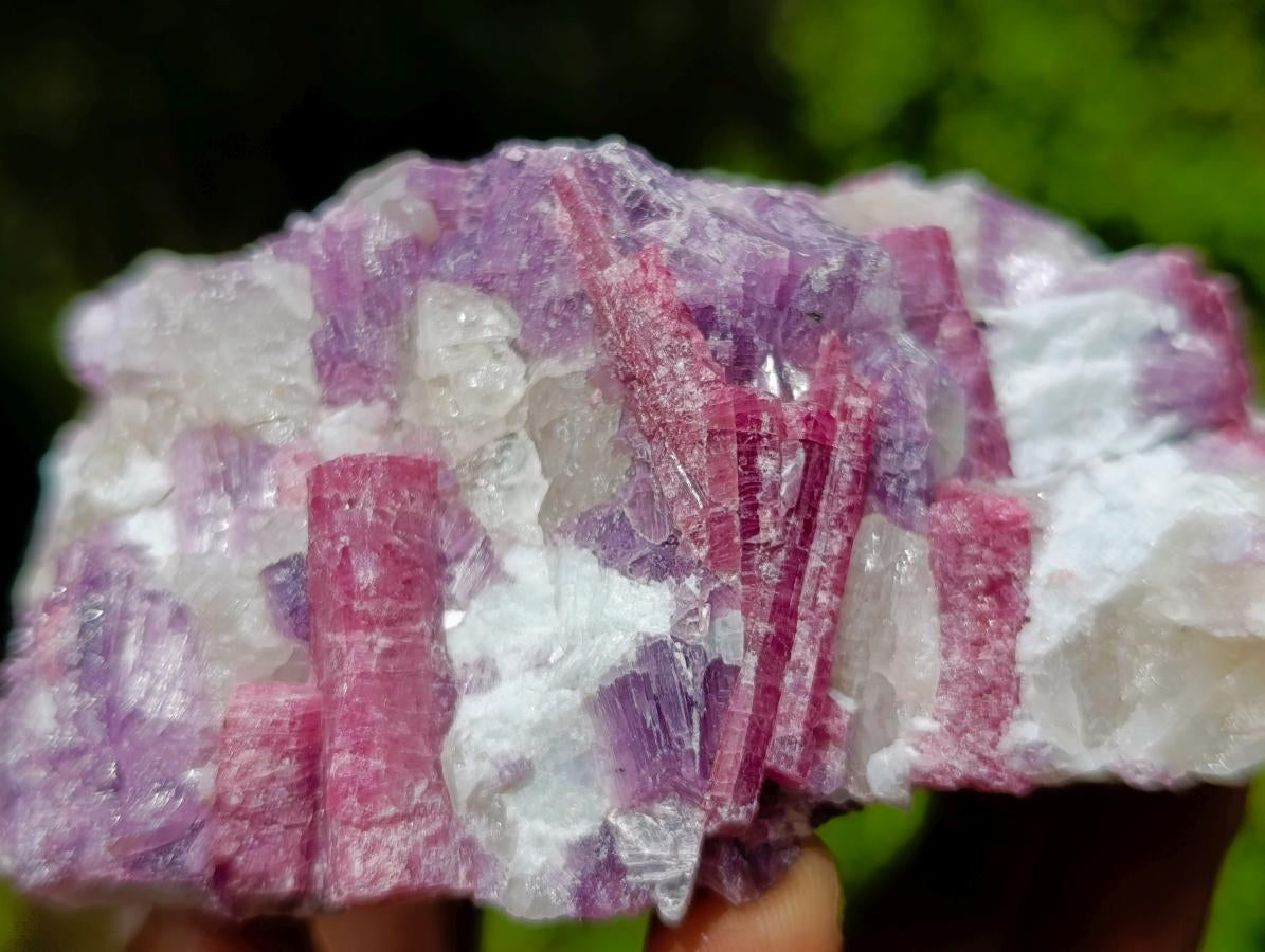 Natural Rubellite Pink Tourmaline in a Quartz and Mica Schist x 1 From Karibib, Namibia