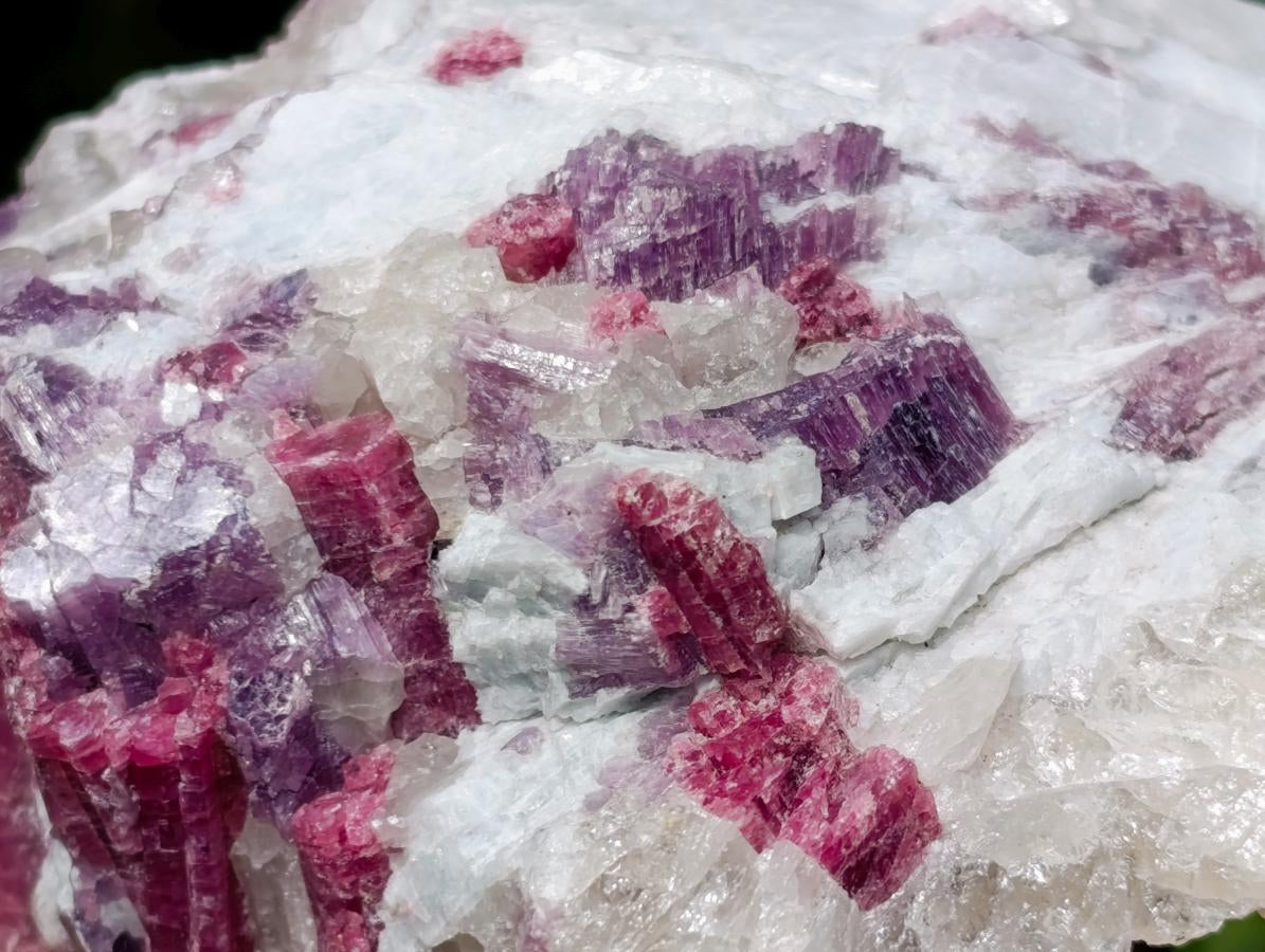 Natural Rubellite Pink Tourmaline in a Quartz and Mica Schist x 1 From Karibib, Namibia