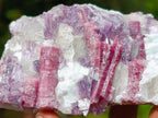 Natural Rubellite Pink Tourmaline in a Quartz and Mica Schist x 1 From Karibib, Namibia