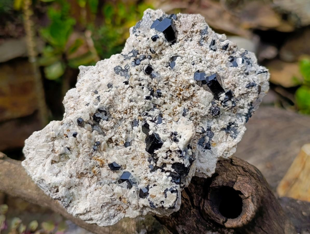 Natural Schorl Black Tourmaline Specimen with Hyalite Opal x 1 From Erongo, Namibia