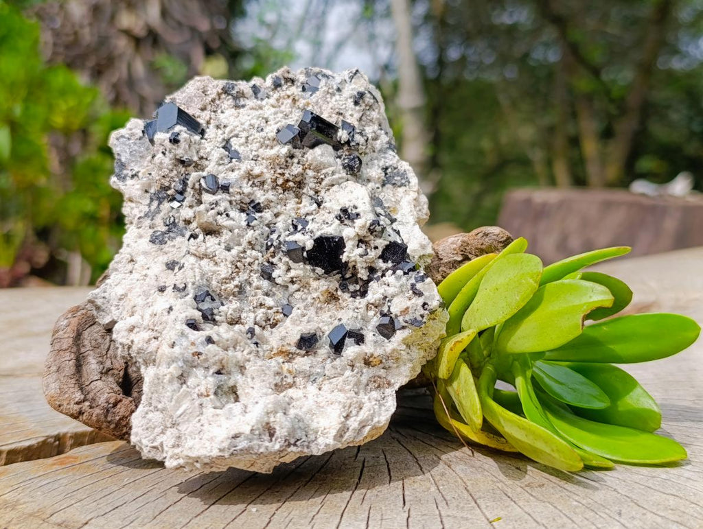Natural Schorl Black Tourmaline Specimen with Hyalite Opal x 1 From Erongo, Namibia