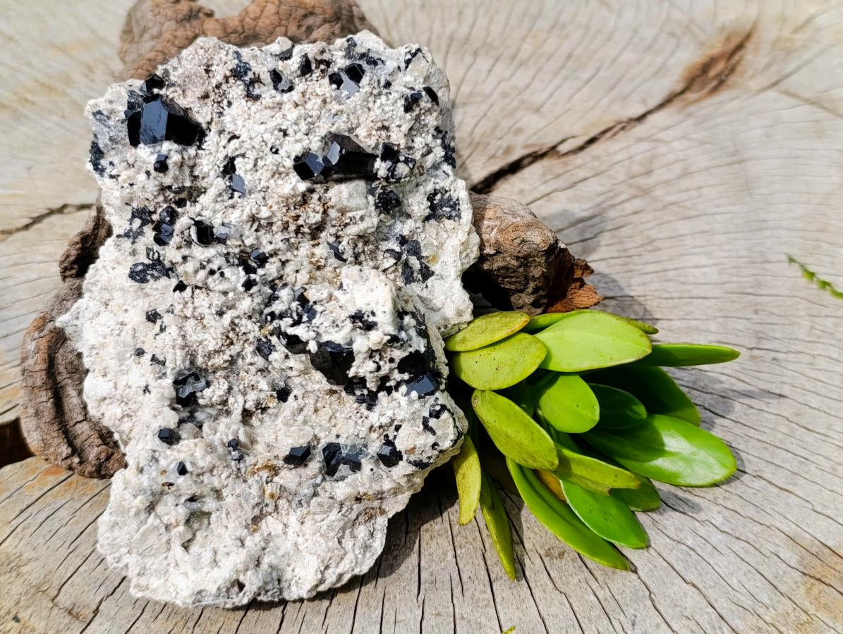 Natural Schorl Black Tourmaline Specimen with Hyalite Opal x 1 From Erongo, Namibia
