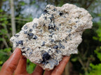 Natural Schorl Black Tourmaline Specimen with Hyalite Opal x 1 From Erongo, Namibia