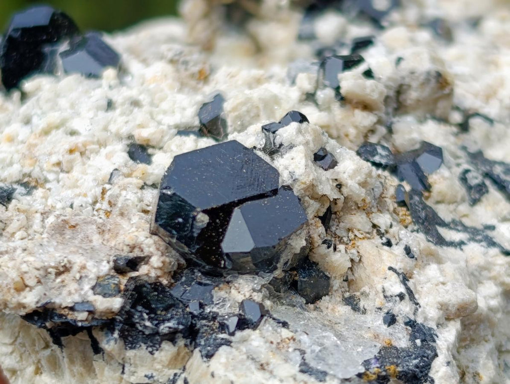 Natural Schorl Black Tourmaline Specimen with Hyalite Opal x 1 From Erongo, Namibia