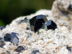 Natural Schorl Black Tourmaline Specimen with Hyalite Opal x 1 From Erongo, Namibia
