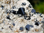 Natural Schorl Black Tourmaline Specimen with Hyalite Opal x 1 From Erongo, Namibia