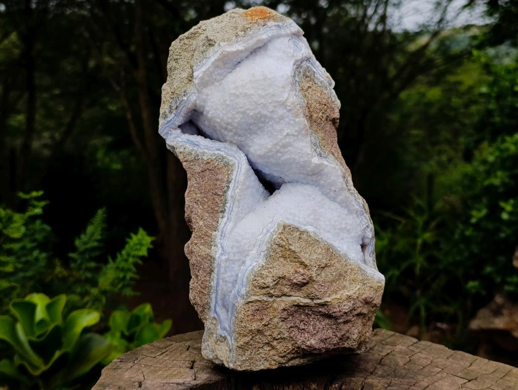 Natural XL Double Barrelled Blue Lace Agate Geode Specimen x 1 From Nsanje, Malawi