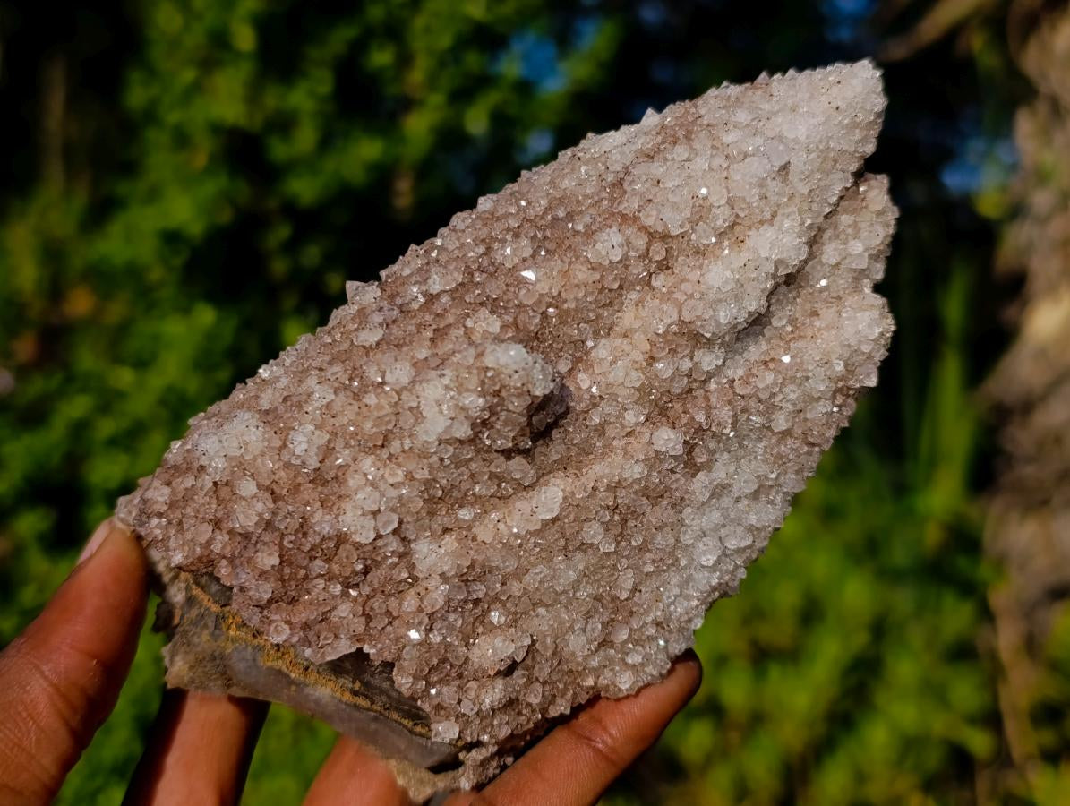 Natural Quadruple Headed Drusy Spearhead Calcite Pseudomorph Specimen x 1 From Albert's Mountain, Lesotho