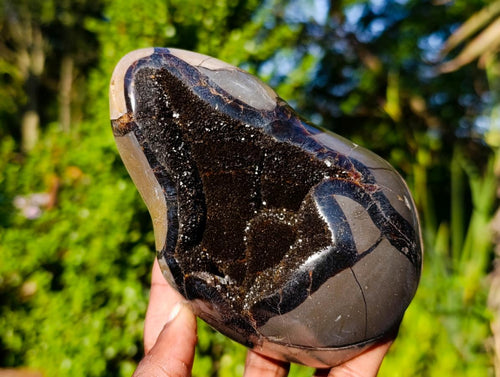 Polished Septerye Sauvage Standing Dragons Egg Display Piece x 1 From Mahajanga, Madagascar