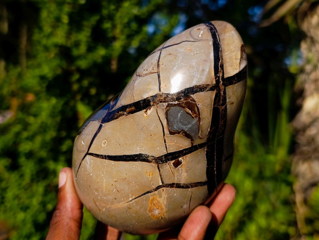 Polished Septerye Sauvage Standing Dragons Egg Display Piece x 1 From Mahajanga, Madagascar