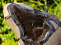 Polished Septerye Sauvage Standing Dragons Egg Display Piece x 1 From Mahajanga, Madagascar