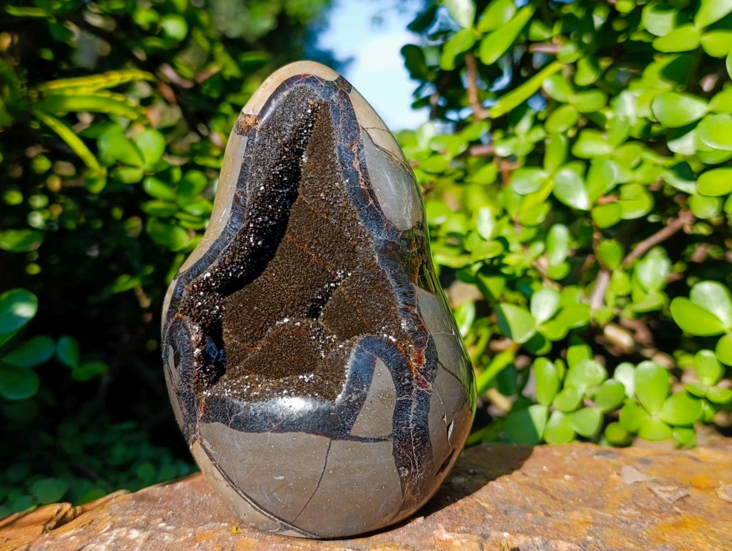 Polished Septerye Sauvage Standing Dragons Egg Display Piece x 1 From Mahajanga, Madagascar