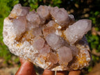 Natural Drusy Smokey Spirit Quartz Cluster x 1 From Boekenhouthoek, South Africa