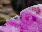 Natural Large Extra Rare Rhodocalcite Specimen x 1 From Mashamba West Mine, Congo