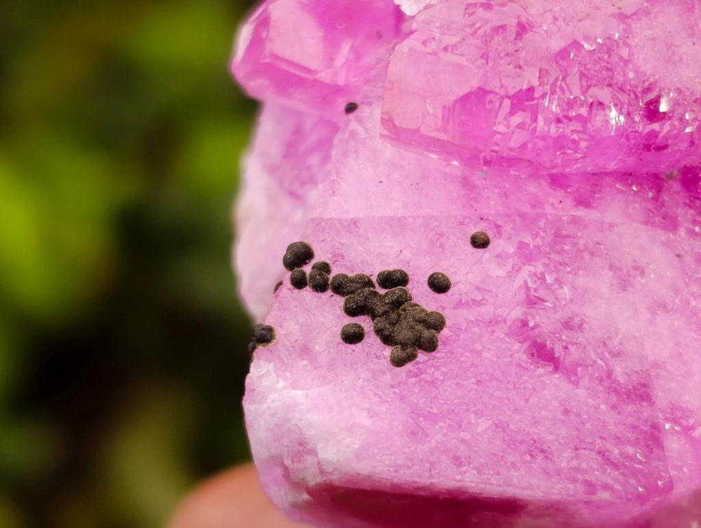 Natural Large Extra Rare Rhodocalcite Specimen x 1 From Mashamba West Mine, Congo