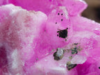 Natural Large Extra Rare Rhodocalcite Specimen x 1 From Mashamba West Mine, Congo