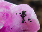 Natural Large Extra Rare Rhodocalcite Specimen x 1 From Mashamba West Mine, Congo