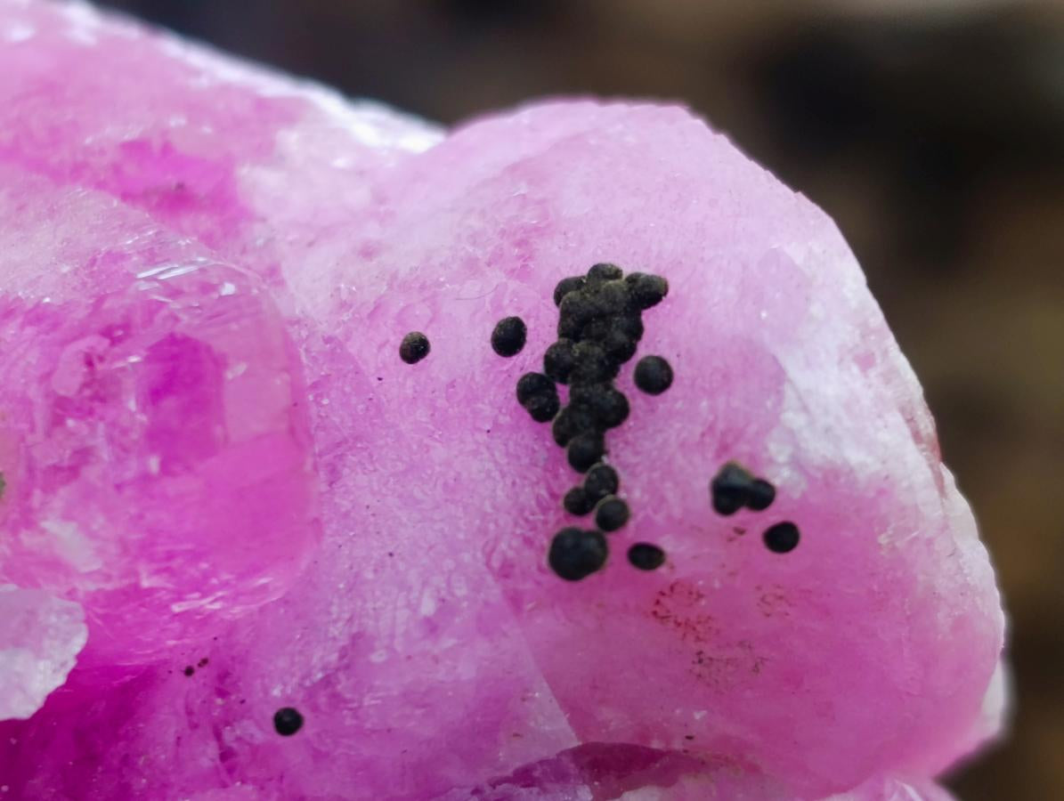 Natural Large Extra Rare Rhodocalcite Specimen x 1 From Mashamba West Mine, Congo