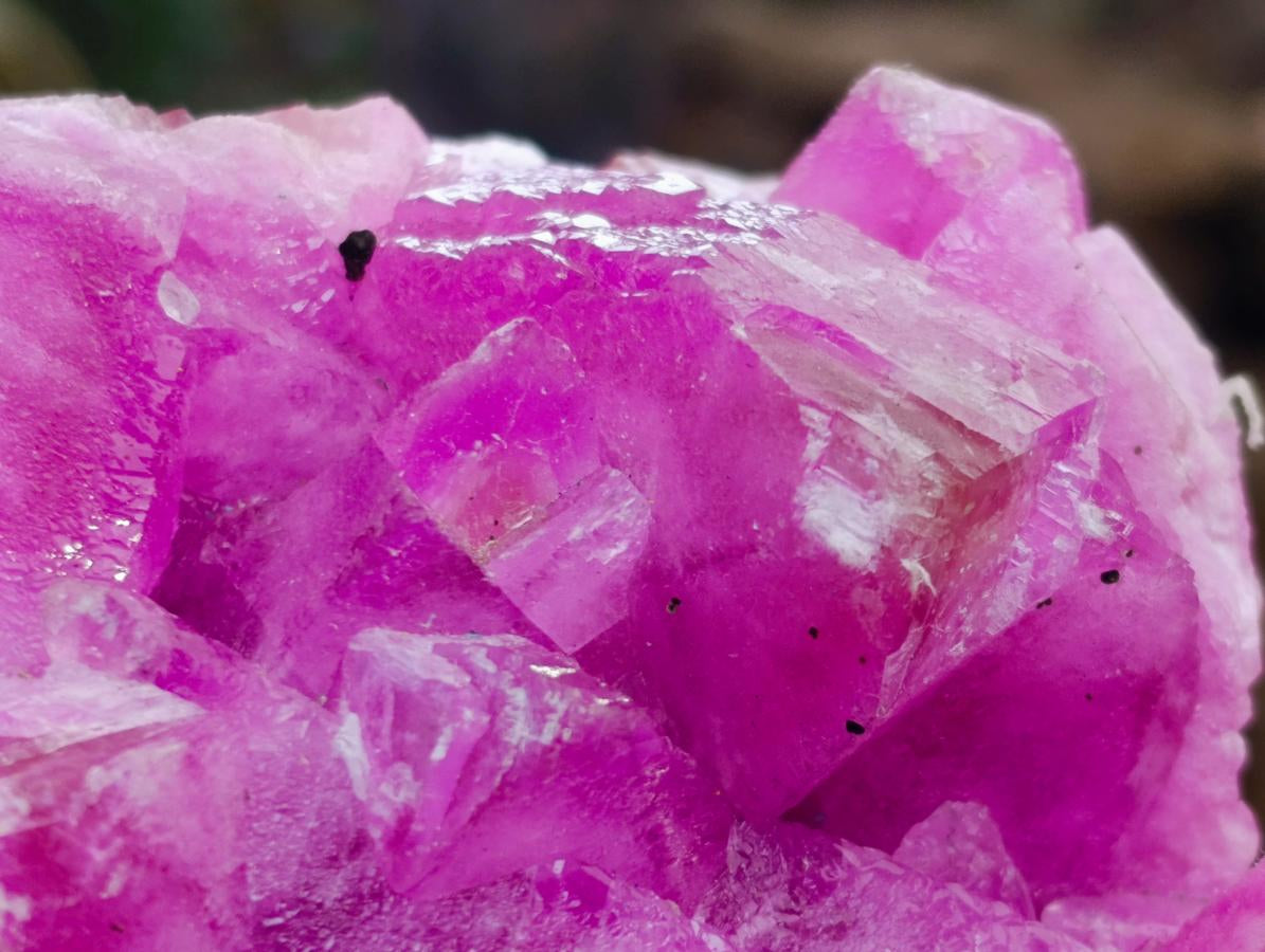 Natural Large Extra Rare Rhodocalcite Specimen x 1 From Mashamba West Mine, Congo