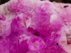 Natural Large Extra Rare Rhodocalcite Specimen x 1 From Mashamba West Mine, Congo