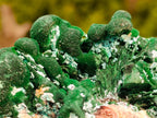 Natural Ball and Bladed Malachite after Azurite Pseudomorph Specimen x 1 From Kolwezi, Congo