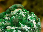 Natural Ball and Bladed Malachite after Azurite Pseudomorph Specimen x 1 From Kolwezi, Congo