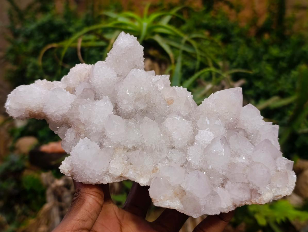 Natural Cactus Flower Lilac Spirit Crystal Cluster x 1 From South Africa
