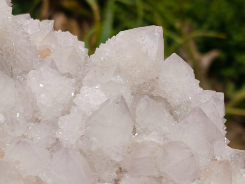 Natural Cactus Flower Lilac Spirit Crystal Cluster x 1 From South Africa