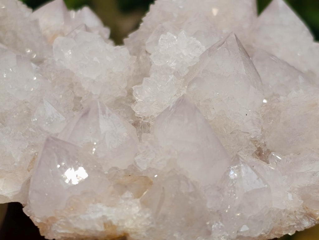 Natural Cactus Flower Lilac Spirit Crystal Cluster x 1 From South Africa