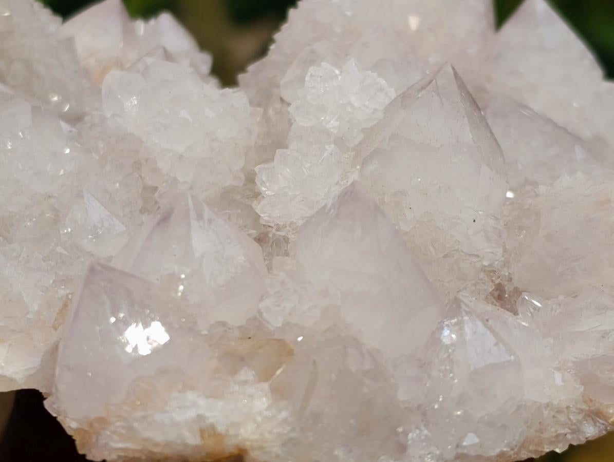 Natural Cactus Flower Lilac Spirit Crystal Cluster x 1 From South Africa
