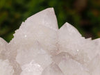 Natural Cactus Flower Lilac Spirit Crystal Cluster x 1 From South Africa