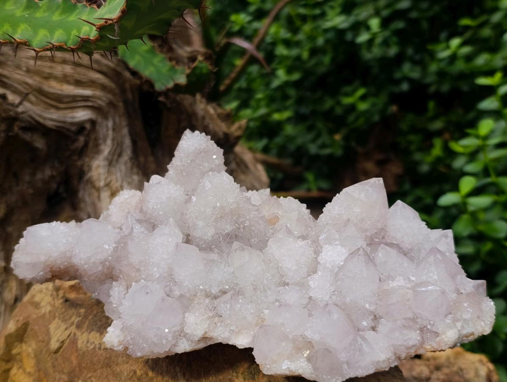 Natural Cactus Flower Lilac Spirit Crystal Cluster x 1 From South Africa