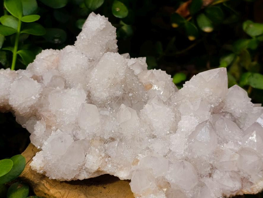 Natural Cactus Flower Lilac Spirit Crystal Cluster x 1 From South Africa