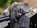 Natural Large Double Terminated Schorl Black Tourmaline Crystal with Feldspar x 1 From Erongo, Namibia