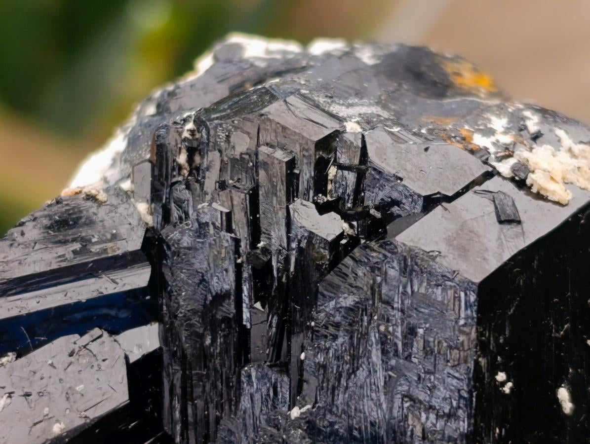 Natural Large Double Terminated Schorl Black Tourmaline Crystal with Feldspar x 1 From Erongo, Namibia