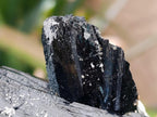 Natural Large Double Terminated Schorl Black Tourmaline Crystal with Feldspar x 1 From Erongo, Namibia